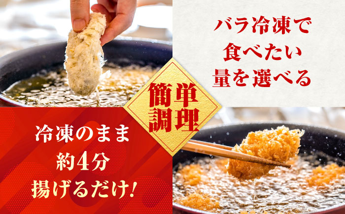 【スピード発送】冷凍 カキフライ (2種 食べ比べ 12粒×2袋) プレーン×カレー 広島県産 冷凍カキフライ 広島牡蠣 牡蠣 かき カキ  料理 簡単 魚介類 海鮮 ギフト 広島県福山市/クニヒロ株式会社 [BACG014]