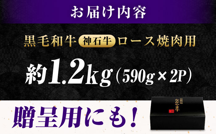 なかやま牧場 黒毛和牛 ギフト 神石牛 (ロース焼肉用 590g×2) 広島県福山市/株式会社なかやま牧場 牛肉 なかやま牛 国産 お肉 ギフト 贈答 [BACT008]