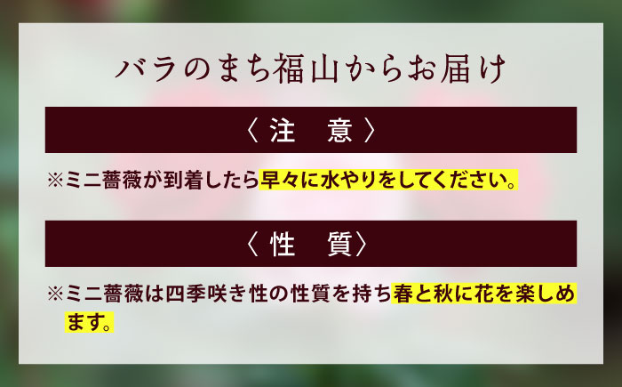 花 薔薇（ミニバラ苗木）：ふくやまシリーズ 3種混合・3ポット 広島県福山市/小林商事 植物 お花 苗木 苗 薔薇 バラ 観葉植物 セット [BAEA002]