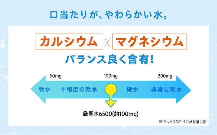 飲料 水 ミネラルウォーター 巌聖水6500 500ml×24本 広島県福山市/小林商事 ミネラルウォーター ペットボトル 500ml 24本 保存用 備蓄 防災 [BAEA012]