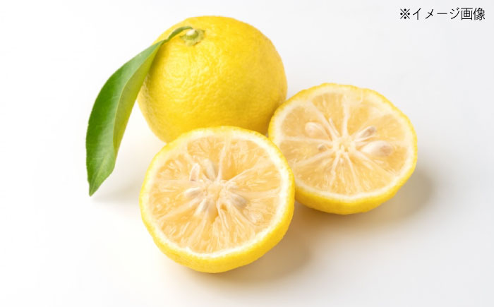 【全6回定期便】ちりめん 甚ごろうのちりめん柚子 3袋 （60g×3袋） 広島県福山市/甚ごろう 柚子 ちりめん じゃこ ちりめんじゃこ ご飯のお供 和食 惣菜 ギフト [BAEC075]