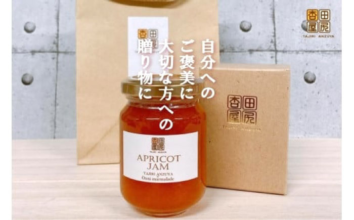 ジャム 田尻あんずのアプリコットジャム 120g 3個入り 広島県福山市/田尻杏屋 あんず アプリコット 杏 フルーツ 果物 [BAEK001]