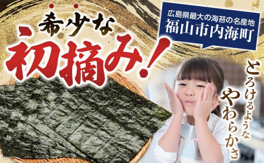 味付けのり 6本セット(8切64枚入り 計384枚) 広島県福山市/田島漁業協同組合 のり 海苔 味付け海苔 味付け ギフト セット 詰合せ [BAEL002]