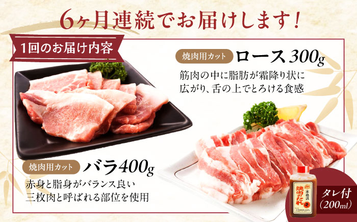 【全6回定期便】冷凍 肉「瀬戸のもち豚せと姫」焼肉セット計約700g  (バラ400g・ロース300g・自家製焼肉のタレ) 広島県福山市/日本畜産株式会社 肉 豚肉 焼肉 セット 豚バラ ロース タレ付き スライス 国産 お肉 [BAER051]