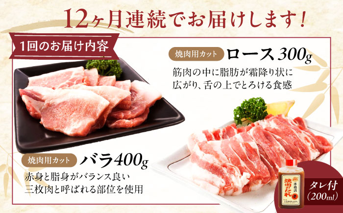 【全12回定期便】冷凍 肉「瀬戸のもち豚せと姫」焼肉セット計約700g  (バラ400g・ロース300g・自家製焼肉のタレ) 広島県福山市/日本畜産株式会社 肉 豚肉 焼肉 セット 豚バラ ロース タレ付き スライス 国産 お肉 [BAER052]