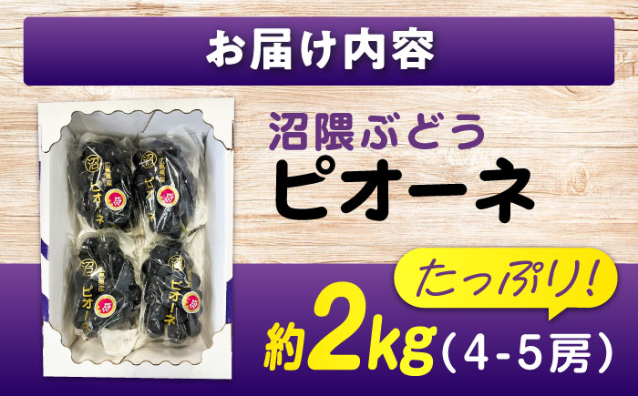 期間限定/8月下旬～9月上旬頃発送 沼隈ぶどう「ピオーネ」 約2kg 4～5房（種なし） 広島県福山市/福山市農業協同組合　沼隈グリーンセンター ぶどう ブドウ 葡萄 種なし 大粒[BAEV002]