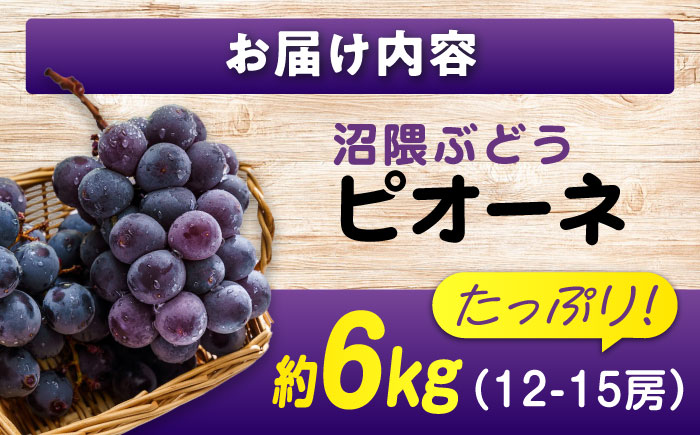期間限定/8月下旬～9月上旬頃発送 沼隈ぶどう「ピオーネ」 約2kg×3 (12～15房)種なし 広島県福山市/福山市農業協同組合　沼隈グリーンセンター ぶどう ブドウ 葡萄 種なし 大粒 [BAEV007]