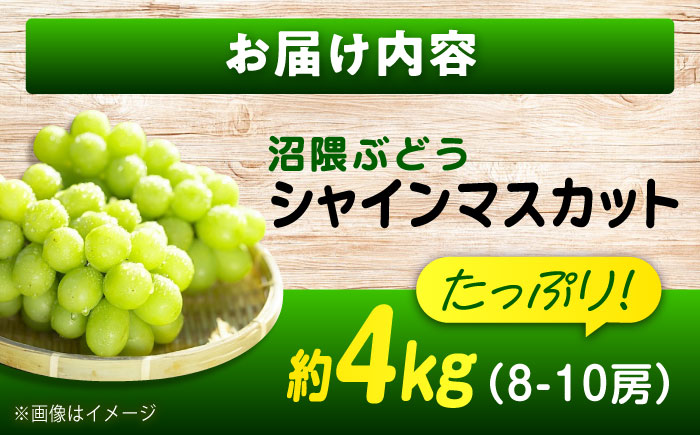 数量限定/9月上旬～9月下旬頃発送 沼隈ぶどう「シャインマスカット」 約2kg×2(8～10房) 広島県福山市/福山市農業協同組合　沼隈グリーンセンター ぶどう ブドウ 葡萄 種なし 大粒 マスカット [BAEV011]
