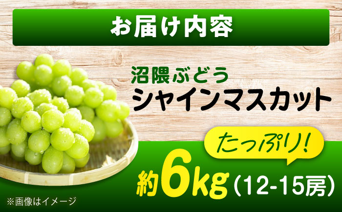 数量限定/9月上旬～9月下旬頃発送 沼隈ぶどう「シャインマスカット」 約2kg×3(12～15房) 広島県福山市/福山市農業協同組合　沼隈グリーンセンター ぶどう ブドウ 葡萄 種なし 大粒 マスカット [BAEV012]