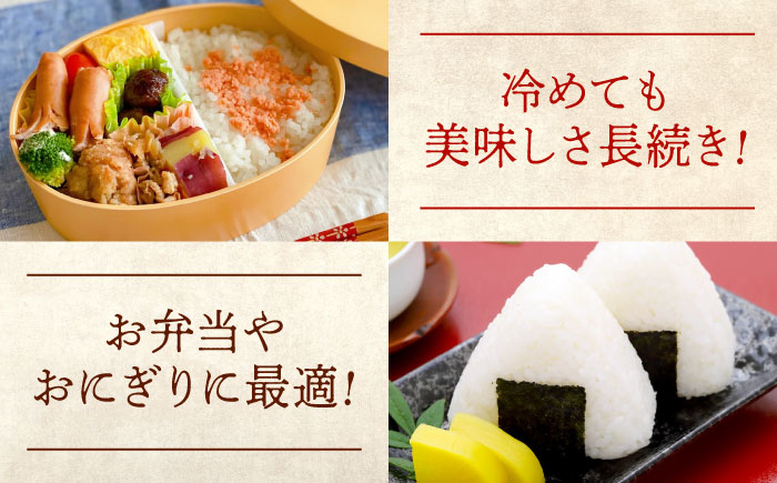【令和7年産新米】新米 にこまる 10kg 広島県福山市産 [BAFU001]米 山田米 10kg 大粒 白米 こめ ブランド米 大粒 オススメ 人気 新米