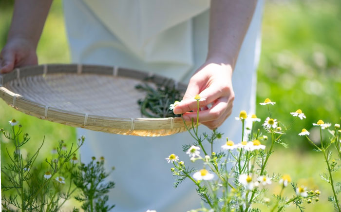 五感で感じるハーブティセット ハーブ ハーブティー ビタミン ハイビスカス ローズ オレンジ マロウ バーベナ レモングラス カモミール 和薄荷 　広島県福山市/株式会社Herbal Style [BAFV003]