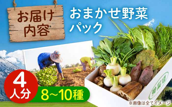 愛菜連のおまかせ野菜パック（４人用）野菜詰合せ 旬 旬の野菜 野菜セット 産地直送 ミネラル ビタミン 豊富　広島県福山市/マルフク株式会社 [BAFW001]