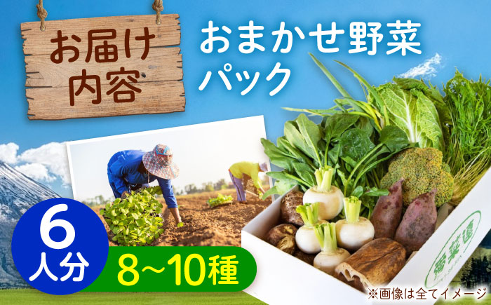 愛菜連のおまかせ野菜パック（６人用）野菜詰合せ 旬 旬の野菜 野菜セット 産地直送 ミネラル ビタミン 豊富　広島県福山市/マルフク株式会社 [BAFW002]