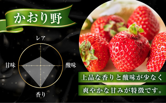 【2026年1月以降順次発送】先行予約 産地直送厳選「紅ほっぺ・かおり野」2パックセット（計270g以上）いちご イチゴ 苺 紅ほっぺ かおり野 ブランドイチゴ 人気 おすすめ ギフト　広島県福山市/びんごファーム [BAFY001]