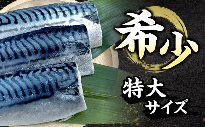 塩サバ 別格昆布塩さばフィレ 3kg 広島県福山市/丸大水産株式会社 鯖 サバ さば 切り身 冷凍 [BAGB001]