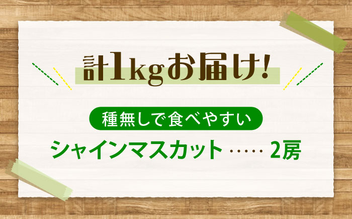 先行予約 【2026年9月中旬から10月上旬発送】シャインマスカット 2房入り 計1kg 広島県福山市/株式会社フジ・アグリフーズ ブドウ 葡萄 マスカット ギフト 種なし 大粒 [BAGF005]