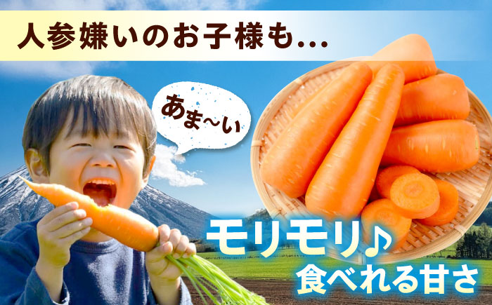 人参 10kg 人参 にんじん 野菜 やさい 旬の野菜 旬 季節 新鮮 採れたて 広島県福山市/しもみん農場 [BAGT004]