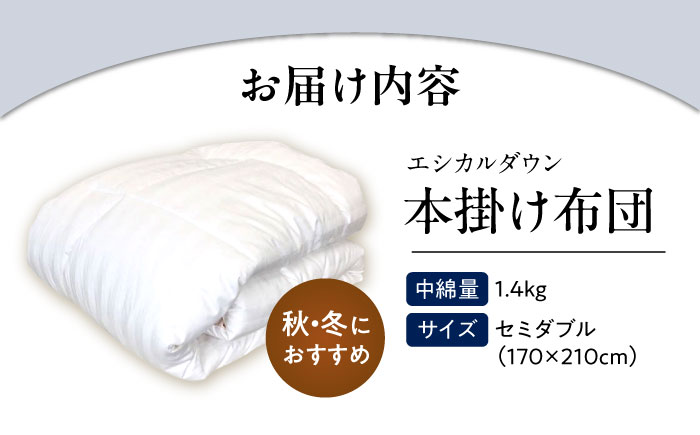 洗える 人工羽毛 掛け布団 セミダブル エントリーモデル 広島県福山市/イシケン株式会社 羽毛ふとん 掛けふとん 日本製 秋 冬 寝具 アレルギー対策 [BAAK002]