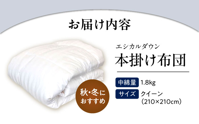 洗える 人工羽毛 掛け布団 クイーン エントリーモデル 広島県福山市/イシケン株式会社 羽毛ふとん 掛けふとん 日本製  秋 冬 寝具 アレルギー対策 [BAAK004]