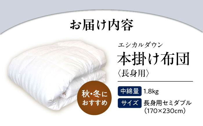 洗える 人工羽毛 掛け布団 長身用セミダブル エントリーモデル 広島県福山市/イシケン株式会社 羽毛ふとん 掛けふとん 日本製  秋 冬 寝具 アレルギー対策 [BAAK006]