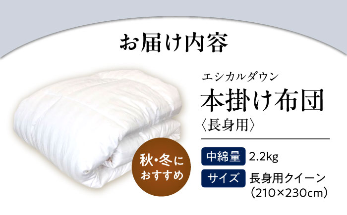 洗える 人工羽毛 掛け布団 長身用クイーン エントリーモデル 広島県福山市/イシケン株式会社 羽毛ふとん 掛けふとん 日本製  秋 冬 寝具 アレルギー対策 [BAAK008]
