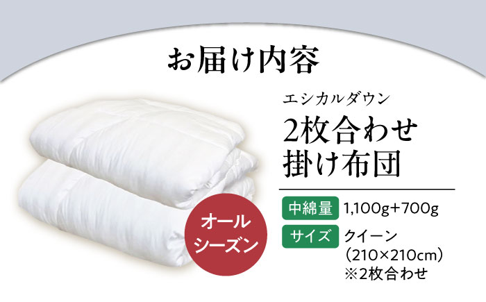洗える 人工羽毛 2枚合わせ掛け布団 クイーン エントリーモデル 広島県福山市/イシケン株式会社 2枚組 羽毛ふとん 肌掛け 日本製 オールシーズン  寝具 アレルギー対策 [BAAK012]