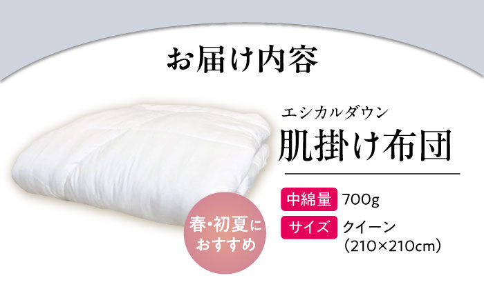 洗える 人工羽毛 肌掛け布団 クイーン エントリーモデル 広島県福山市/イシケン株式会社 掛け布団 掛けふとん 日本製  薄手 軽い 春 夏 寝具 アレルギー対策 [BAAK016]