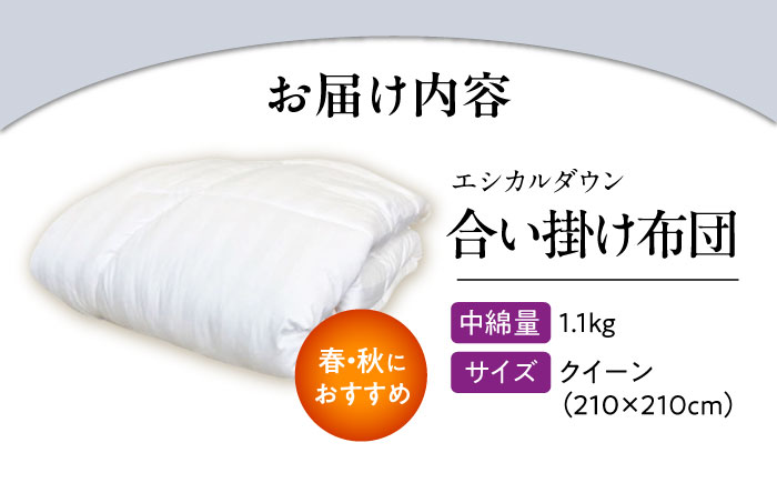 洗える 人工羽毛 合い掛け布団 クイーン エントリーモデル 広島県福山市/イシケン株式会社 羽毛 ふとん 中厚 軽い 日本製 春 秋 寝具 アレルギー対策 [BAAK020]