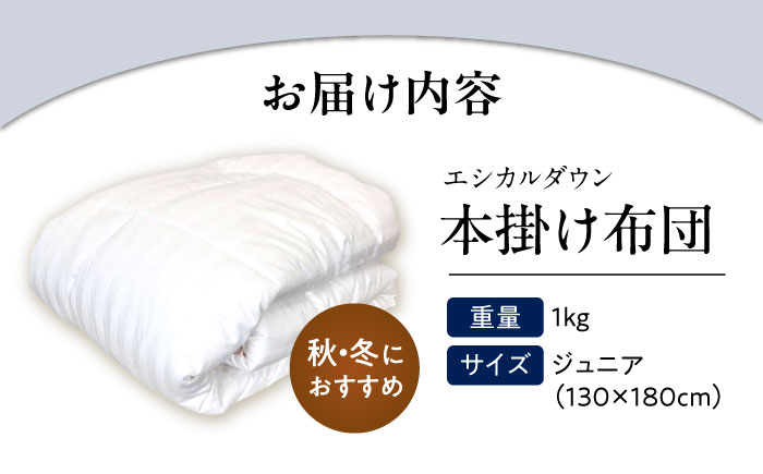 洗える 人工羽毛 掛け布団 〈ジュニア〉人工羽毛 エントリーモデル  広島県福山市/イシケン株式会社 2枚組 羽毛布団 羽毛ふとん 肌掛け 日本製 オールシーズン  寝具 アレルギー対策 [BAAK029]