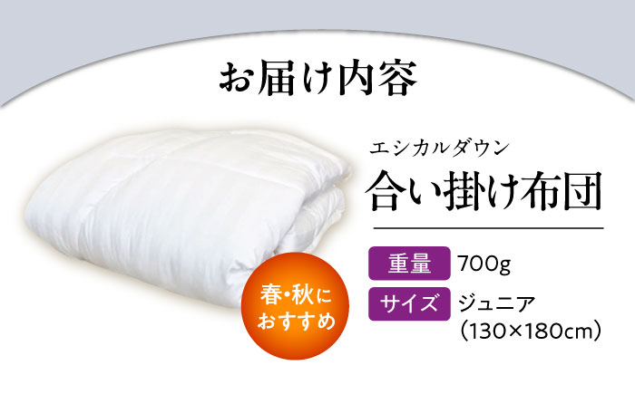 洗える 人工羽毛 合い掛け布団 〈ジュニア〉人工羽毛 エントリーモデル  広島県福山市/イシケン株式会社 羽毛 ふとん 中厚 軽い 日本製 春 秋 寝具 アレルギー対策 [BAAK032]