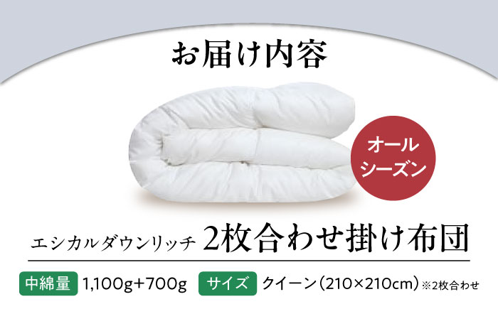 洗える 人工羽毛 2枚合わせ 掛け布団 クイーン エシカルダウンリッチ 広島県福山市/イシケン株式会社 2枚組 羽毛布団 羽毛ふとん 掛けふとん 日本製 オールシーズン  寝具 アレルギー対策  サステナブル [BAAK056]
