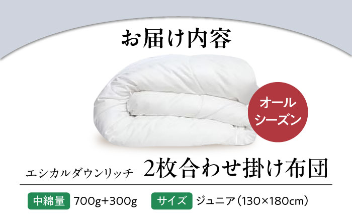 洗える 人工羽毛 2枚合わせ 掛け布団 ジュニア エシカルダウンリッチ 広島県福山市/イシケン株式会社 2枚組 羽毛布団 羽毛ふとん 掛けふとん 日本製 オールシーズン  寝具 アレルギー対策  サステナブル [BAAK088]
