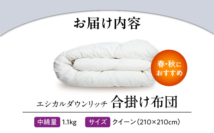 洗える 人工羽毛 合い掛け布団 クイーン エシカルダウンリッチ 広島県福山市/イシケン株式会社 羽毛 ふとん 軽い 日本製 春 秋 寝具 アレルギー対策 サステナブル [BAAK101]