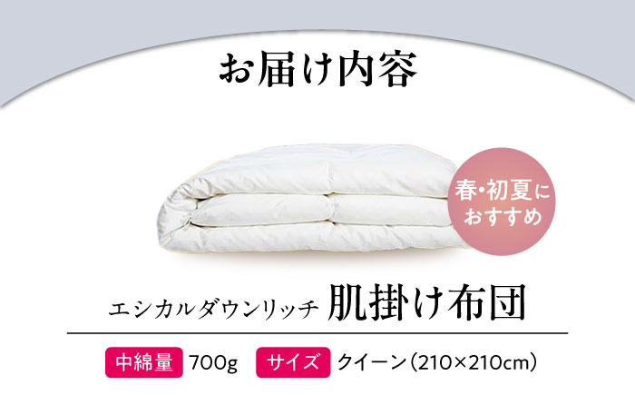 洗える 人工羽毛 肌掛け布団 クイーン エシカルダウンリッチ 広島県福山市/イシケン株式会社 羽毛 ふとん 軽い 日本製 春 初夏 寝具 アレルギー対策 サステナブル [BAAK106]