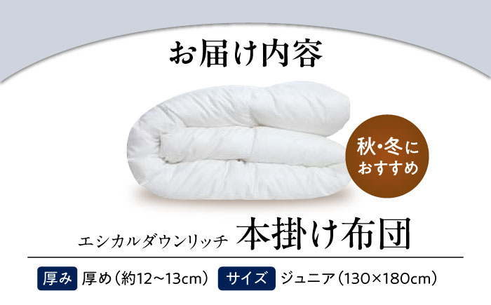 洗える 人工羽毛 本掛け布団 ジュニア エシカルダウンリッチ 広島県福山市/イシケン株式会社 羽毛 ふとん 軽い 日本製 秋 冬 寝具 アレルギー対策 サステナブル [BAAK107]