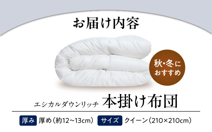 洗える 人工羽毛 本掛け布団 クイーン エシカルダウンリッチ 広島県福山市/イシケン株式会社 羽毛 ふとん 軽い 日本製 秋 冬 寝具 アレルギー対策 サステナブル [BAAK111]