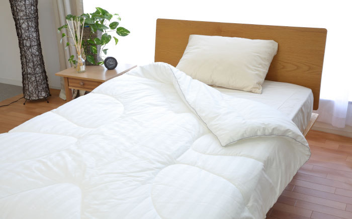 クーポン券 イシケン オンラインショップクーポン 【3,300円分】 広島県福山市/イシケン株式会社 クーポン 利用券 チケット 寝具 イシケン 羽毛布団 日用品[BAAK115]