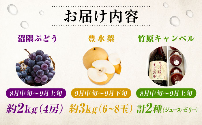 【びんご圏域連携】【全3回定期便 先行予約】 フルーツ 定期便 フルーツ定期便 （沼隈ぶどう・世羅なし・竹原キャンベル） 広島県福山市/一般社団法人世羅町観光協会 フルーツ 定期便 ぶどう 葡萄 なし 梨 ジュース ゼリー 果物 くだもの