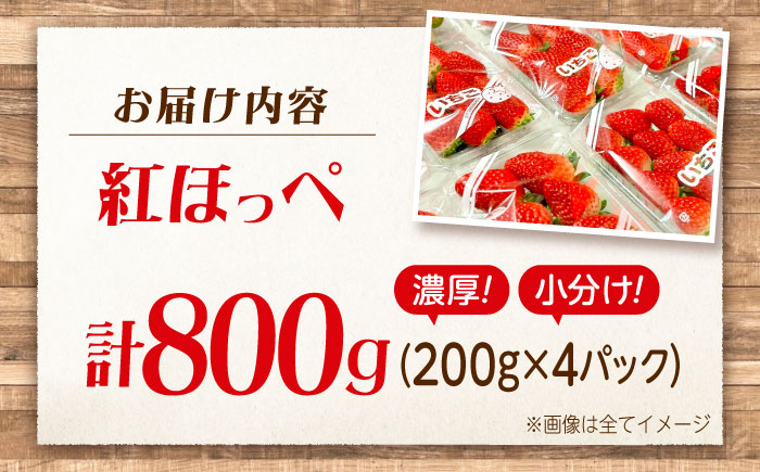 苺 紅ほっぺ 200g×4パック 国産 完熟 スムージー ジャム ヨーグルト 一口サイズ イチゴ 完熟 苺 果物 フルーツ 冷凍 広島県福山市/株式会社ベジータ [BABR002]