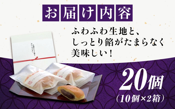 天心山 どら焼き （10個入り）×2 お菓子 和菓子 菓子 スイーツ どらやき おかし おやつ 広島県福山市/天心山ファーム [BABW007]