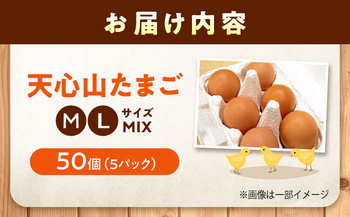 天心山 たまご 50個（10個入り×5パック） 卵 たまご 高級 食品 たまごかけご飯 卵かけご飯 卵焼き 生卵 濃厚 ケーキ お菓子 づくり ランキング 上位 人気 おすすめ 　広島県福山市/天心山ファーム [BABW015]