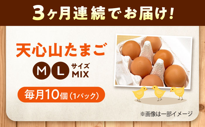 【全3回定期便】天心山 たまご 10個入り×1パック 卵 たまご 高級 食品 たまごかけご飯 卵かけご飯 卵焼き 生卵 濃厚 ケーキ お菓子 づくり ランキング 上位 人気 おすすめ 定期便　広島県福山市/天心山ファーム [BABW022]