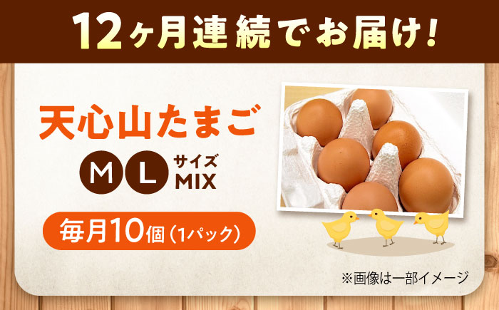 【全12回定期便】天心山 たまご 10個入り×1パック 卵 たまご 高級 食品 たまごかけご飯 卵かけご飯 卵焼き 生卵 濃厚 ケーキ お菓子 づくり ランキング 上位 人気 おすすめ 定期便　広島県福山市/天心山ファーム [BABW024]