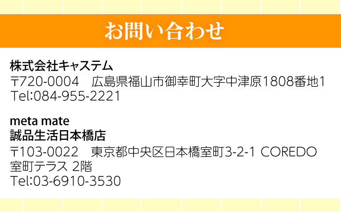 オリジナル 3Dフィギュア製作 広島県福山市/株式会社キャステム フィギュア 3Dスキャン オリジナルフィギュア オーダーメイド 全身 スキャン フルカラー 高精度 立体 思い出 記念 結婚 節目 記念品 子供 七五三 福山 広島 リアル 人形 置物 日用品・雑貨[BACE012]