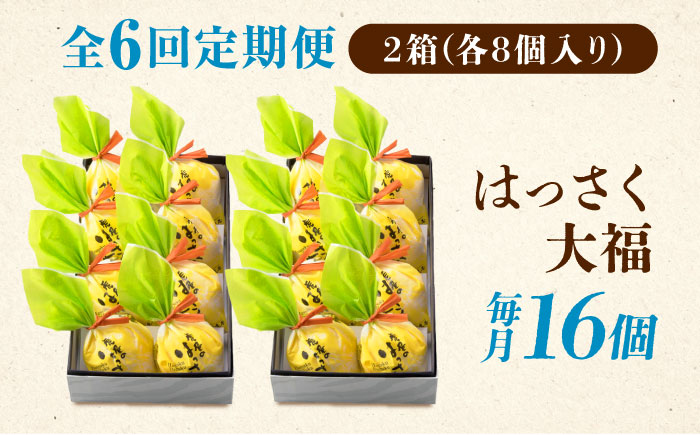 【全6回定期便】お菓子 はっさく大福8個入×2　 お菓子 大福 八朔 柑橘 みかん オレンジ 餅 ギフト お取り寄せ スイーツ フルーツ大福 ご当地 菓子 おかし デザート 食品 人気 おすすめ 広島県福山市/株式会社虎屋本舗 [BADH027]