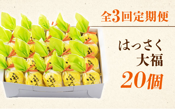 【全3回定期便】お菓子 はっさく大福20個入　 お菓子 大福 八朔 柑橘 みかん オレンジ 餅 ギフト お取り寄せ スイーツ フルーツ大福 ご当地 菓子 おかし デザート 食品 人気 おすすめ 広島県福山市/株式会社虎屋本舗 [BADH030]
