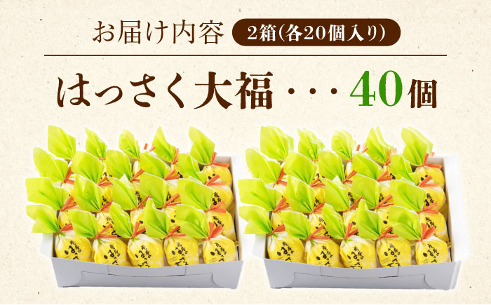 お菓子 はっさく大福20個入×2　 お菓子 大福 八朔 柑橘 みかん オレンジ 餅 ギフト お取り寄せ スイーツ フルーツ大福 ご当地 菓子 おかし デザート 食品 人気 おすすめ 広島県福山市/株式会社虎屋本舗 [BADH033]