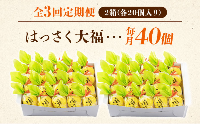 【全3回定期便】お菓子 はっさく大福20個入×2　 お菓子 大福 八朔 柑橘 みかん オレンジ 餅 ギフト お取り寄せ スイーツ フルーツ大福 ご当地 菓子 おかし デザート 食品 人気 おすすめ 広島県福山市/株式会社虎屋本舗 [BADH034]