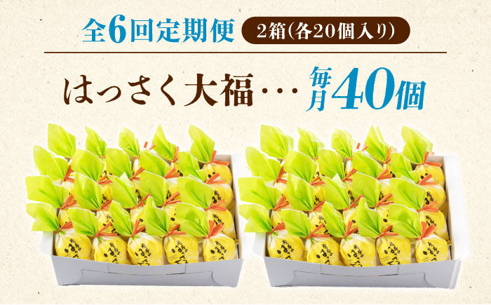 【全6回定期便】お菓子 はっさく大福20個入×2　 お菓子 大福 八朔 柑橘 みかん オレンジ 餅 ギフト お取り寄せ スイーツ フルーツ大福 ご当地 菓子 おかし デザート 食品 人気 おすすめ 広島県福山市/株式会社虎屋本舗 [BADH035]