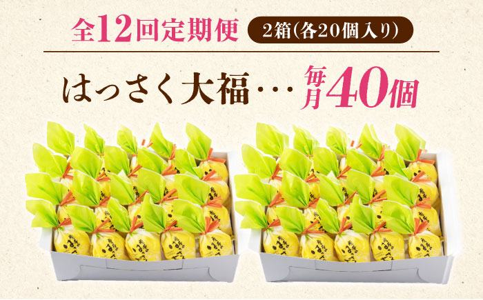 【全12回定期便】お菓子 はっさく大福20個入×2　 お菓子 大福 八朔 柑橘 みかん オレンジ 餅 ギフト お取り寄せ スイーツ フルーツ大福 ご当地 菓子 おかし デザート 食品 人気 おすすめ 広島県福山市/株式会社虎屋本舗 [BADH036]